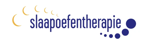 AI-case SlaapOefentherapie — AI SEO