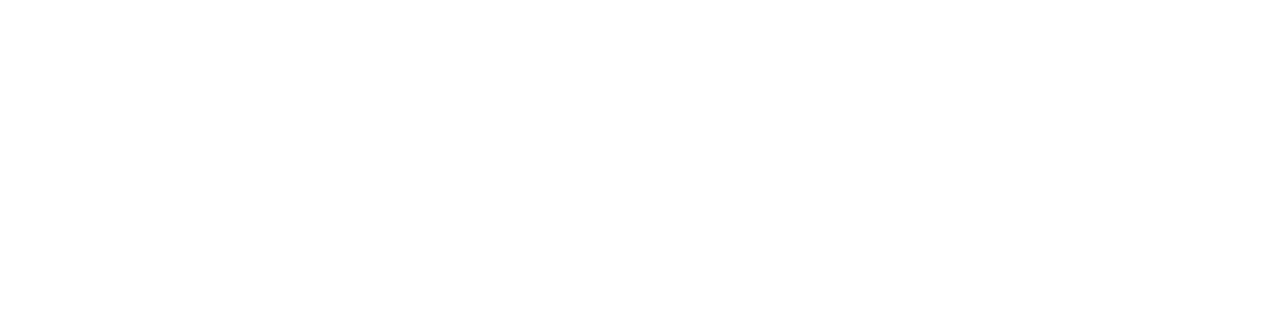 De AI Strateeg